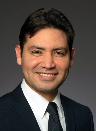 Dr Luis Fernando Arenas Martinez