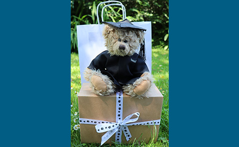 bear gift box 