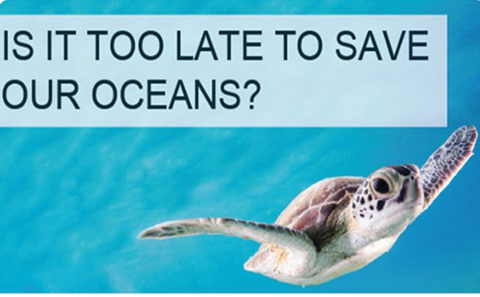 Is it too late to save our oceans