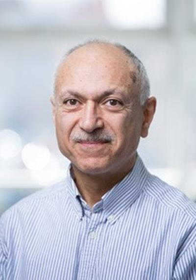 Dr Reza Zamani