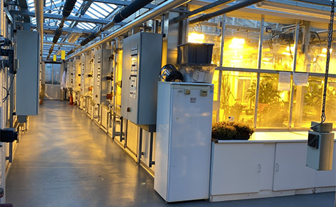 Plant Growth Facility