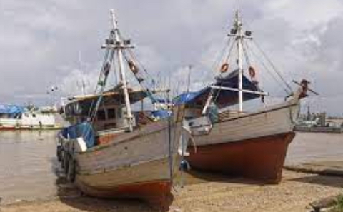 Draft joint Fisheries statement