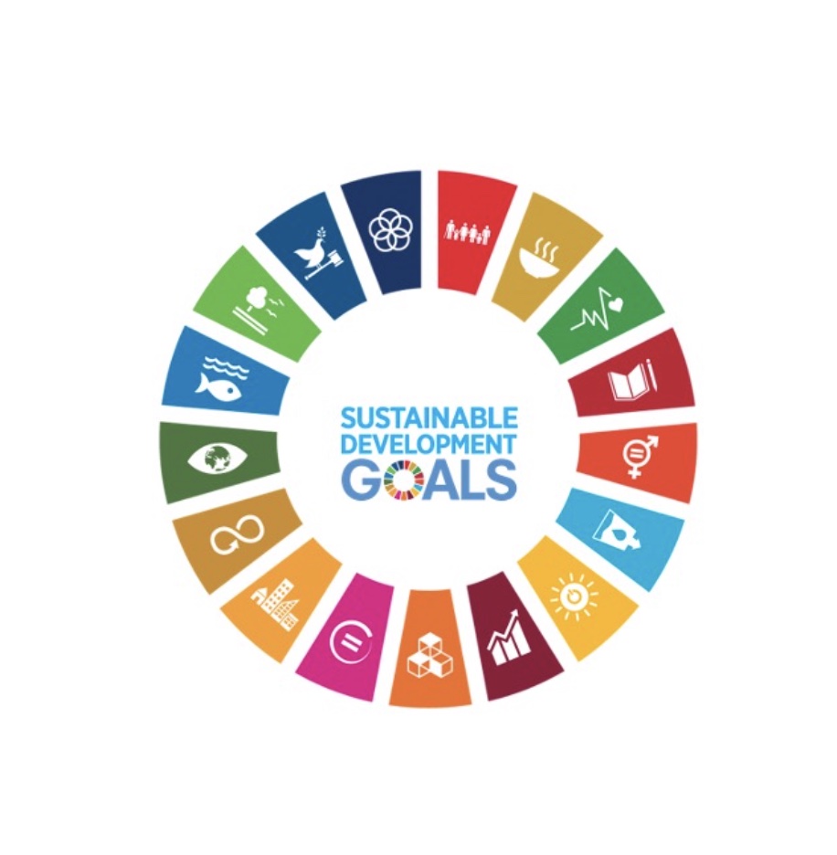 Sustainability Goals Logo