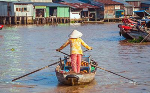 The Resilience and sustainability of the Mekong Delta to changes in Water and Sediment Fluxes