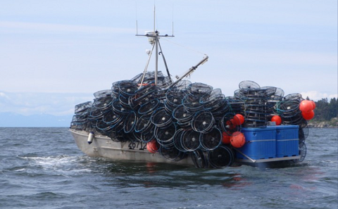 A prawn fishing vessel with traps