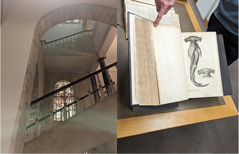 Book and stairs at the Royal Society Library
