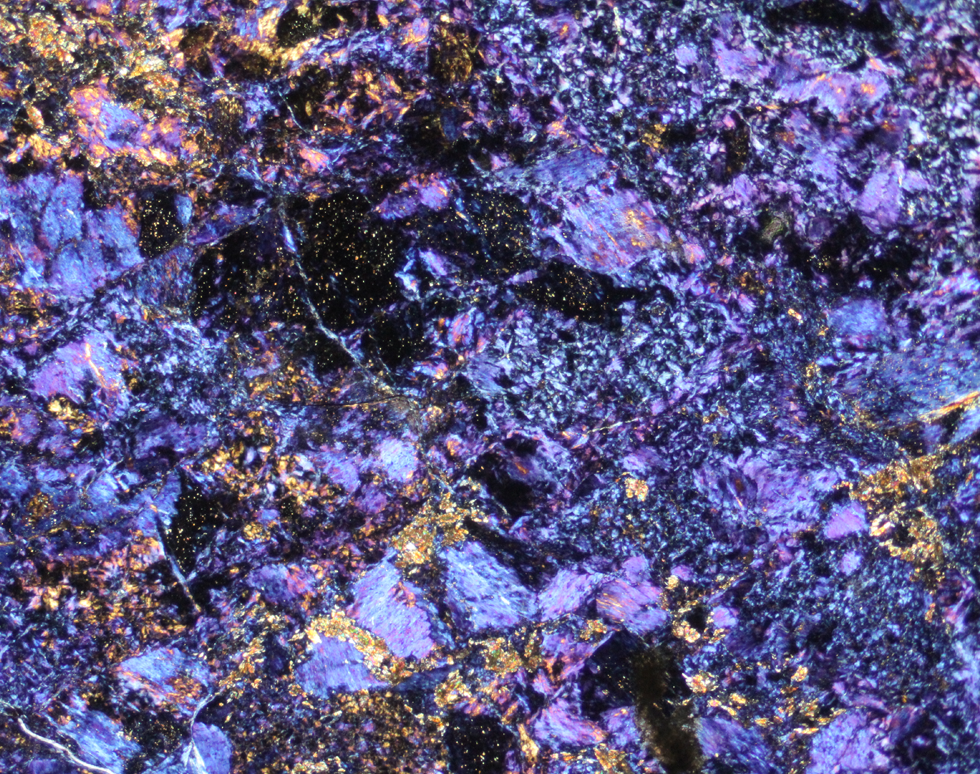 Little Purple Galaxy - Francesca Rotondo