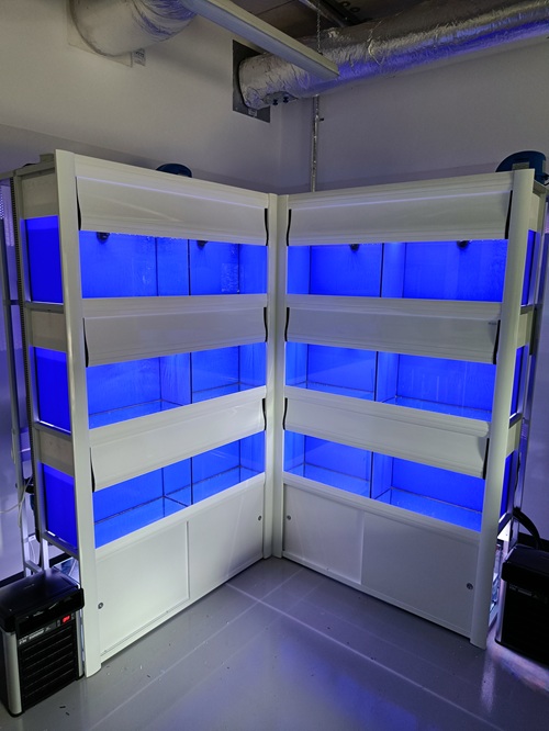 Chilworth fish rack