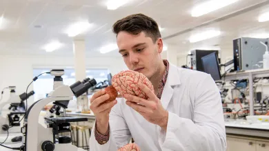 Student wearing a lab sits at a bench in a laboratory, surrounded by microscopes and technical equipment. He holds and takes a part a model of a human brain.