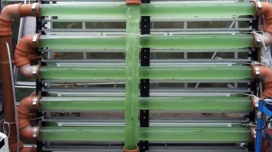 A 300 litre photobioreactor in a glasshouse