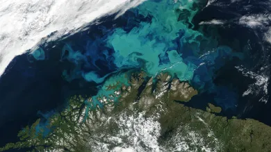 satellite image of the Barents Sea