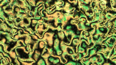Textures in a mesoscopic system made of a nematic liquid crystal doped with nanoparticles.
