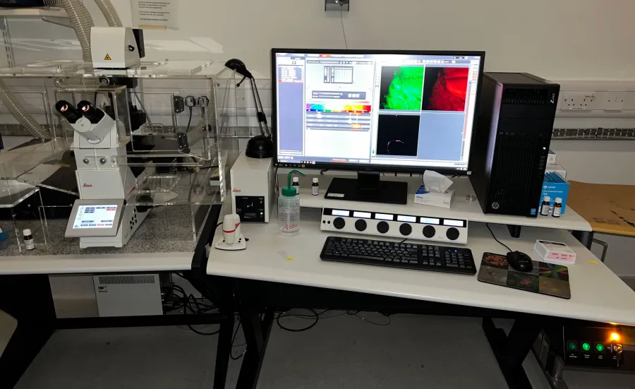 SP8 Confocal