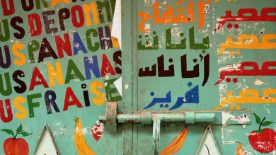 Closed metallic door of a shop with coloured words in French and Arabic about juices