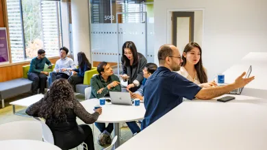 Groups of students looking at laptops and discussing work in the MBA suite