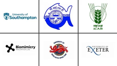 Partners for 'Adapting for Survival: Managing Small-Scale Fisheries for a Resilient Future' project