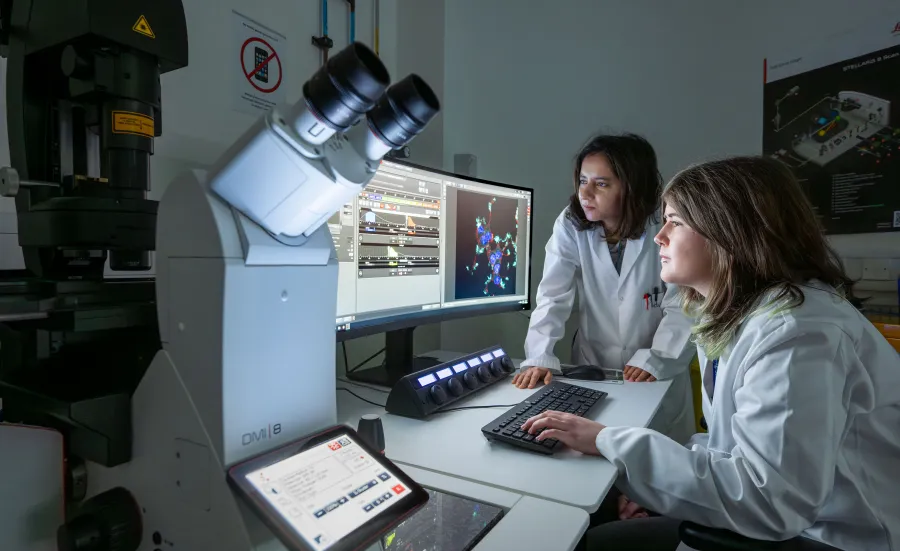 Researchers looking at data on a computer screen