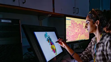 Researcher using a digital display to analyse scientific imaging data in a laboratory.