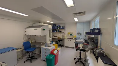 Molecular biology laboratory with specialist workstations, safety cabinets, and laboratory equipment.