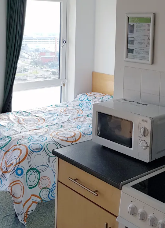 View of a studio flat showing a double bed in front of a large window. A kitchen area with microwave and oven is also partially visible.