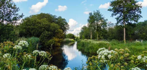 River flowing through trees, grass and meadowlands on a sunny day.