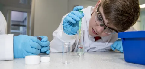 Young school pupil with gloves, goggles and pipette doing experiment in lab