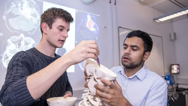 Two students look inside a human skull in the clinical skills suite