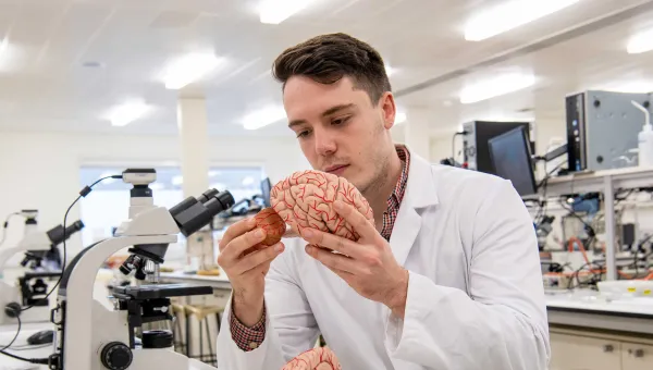 Student wearing a lab sits at a bench in a laboratory, surrounded by microscopes and technical equipment. He holds and takes a part a model of a human brain.