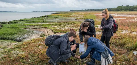 A group of students collect samples of plant life from a salt marsh on the banks of a large estuary.