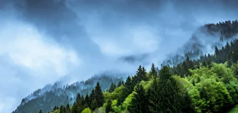 Climate change representation