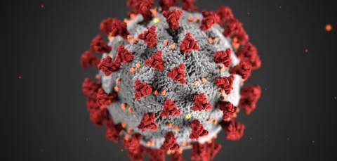A simulated close-up image of the COVID-19 coronavirus.