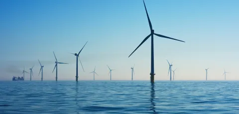 An offshore wind farm.