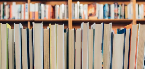 A row of books in a library, with their spines turned away from the viewer
