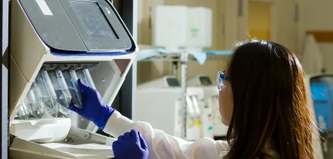 Scientist in laboratory