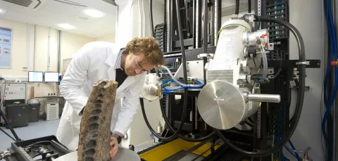 Researcher in a laboratory