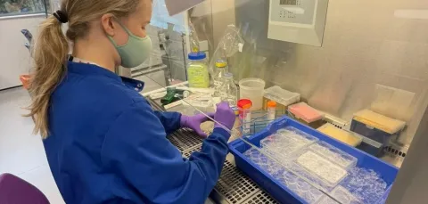 PhD student, Lara Graham, conducting research in a laboratory.