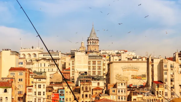 Istanbul skyline, including the famous Galata Tower, with birds soaring above