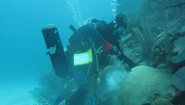 Scuba diver taking coral samples