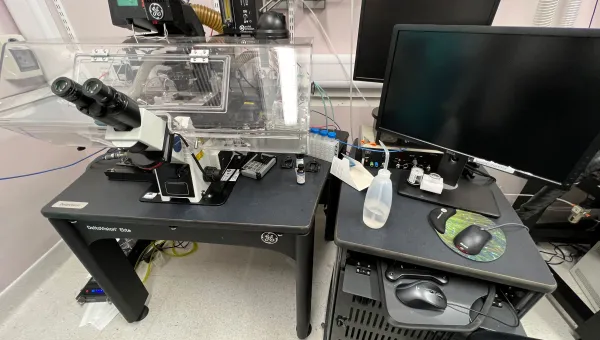 Deltavision Elite live imaging system