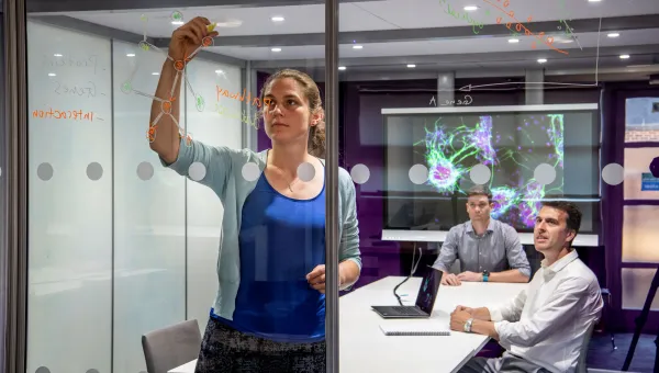 Interdisciplinary researchers working together in the field of Maths and Medicine