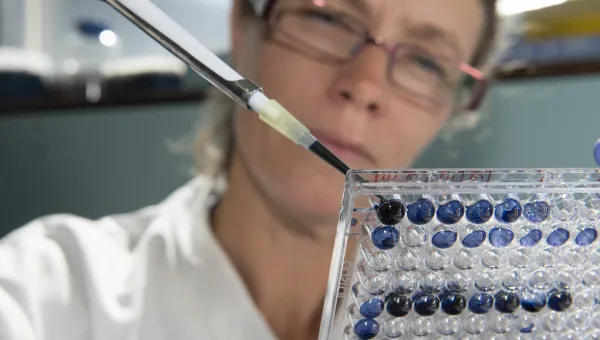 A close-up of a scientist in a white lab coat pipetting dark blue liquid into a 96 well lab plate