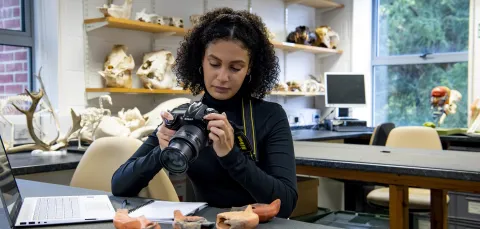 Archaeology student recording roman oil lamps in the lab
