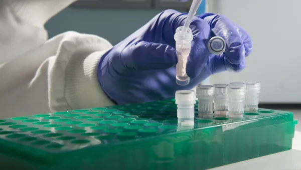 gloved hand pipetting into an Eppendorf tube
