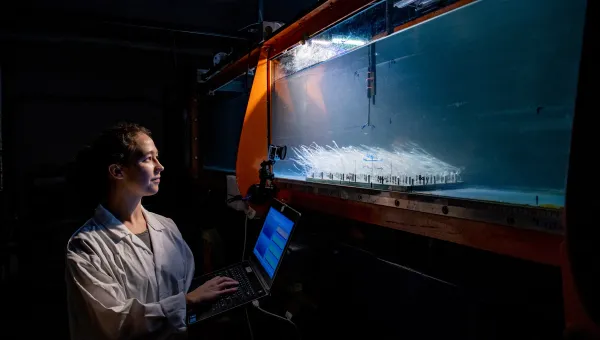 One researcher doing a flume experiment examining flow over seagrass mimics