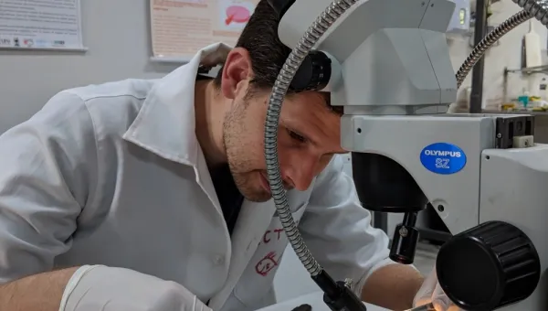 Researcher looking at a fish under a microscope