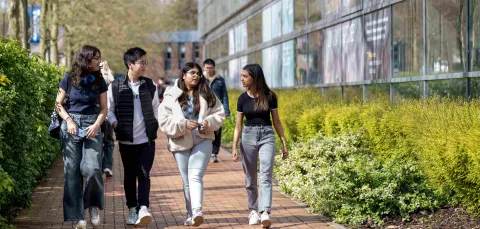 A group of students of different ethnicities walk through a green, sunlit university campus, turned towards each other, in discussion