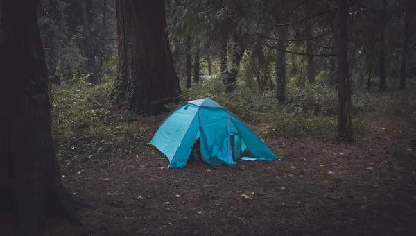 A blue tent in a dark forest