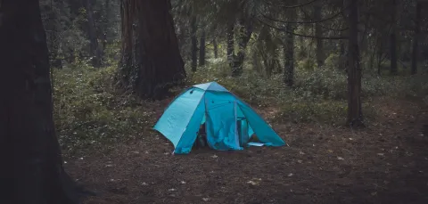 A blue tent in a dark forest