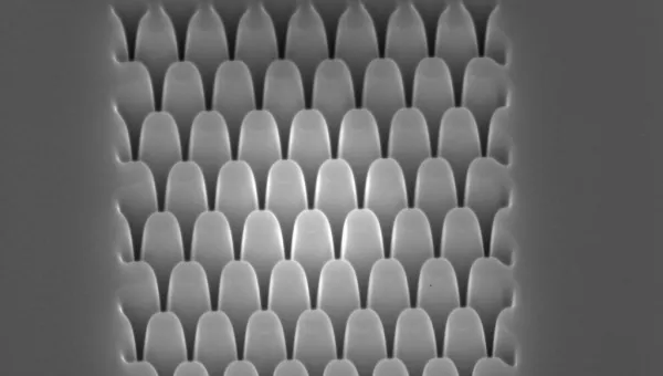 Focused ion beam image