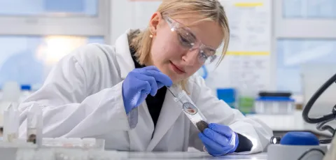 A researcher in a lab putting at a limpet shell in a test tube. The researcher is wearing a white coat, purple gloves and eye protection glasses.
